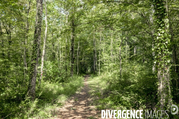 Rallye de la Biodiversite dans le Parc National des Forets