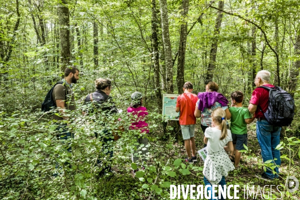 Rallye de la Biodiversite dans le Parc National des Forets