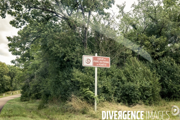 Rallye de la Biodiversite dans le Parc National des Forets
