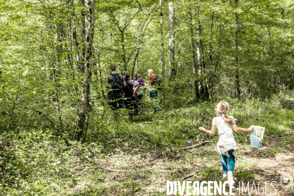 Rallye de la Biodiversite dans le Parc National des Forets