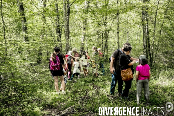 Rallye de la Biodiversite dans le Parc National des Forets