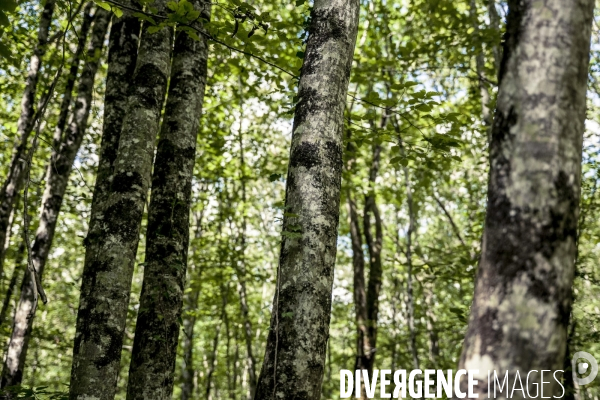 Rallye de la Biodiversite dans le Parc National des Forets