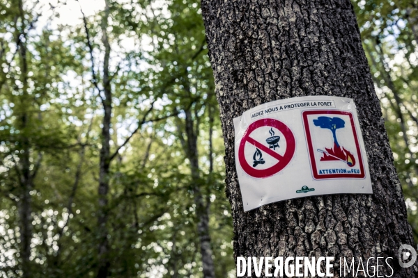 Rallye de la Biodiversite dans le Parc National des Forets