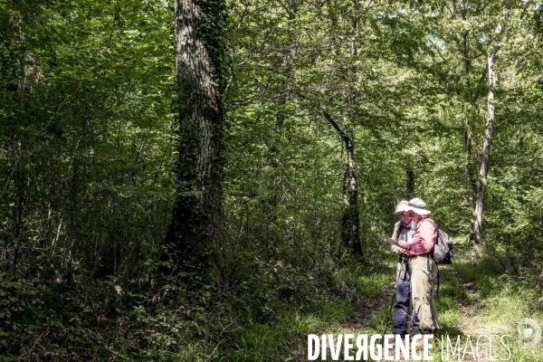 Rallye de la Biodiversite dans le Parc National des Forets