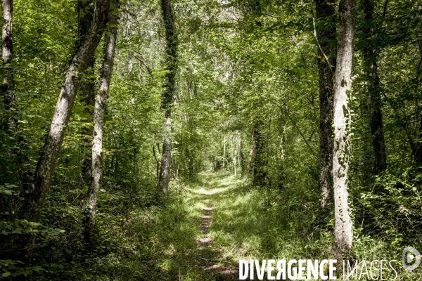 Rallye de la Biodiversite dans le Parc National des Forets
