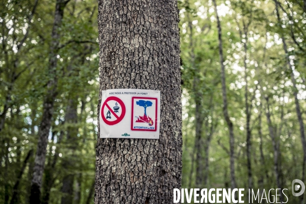 Rallye de la Biodiversite dans le Parc National des Forets