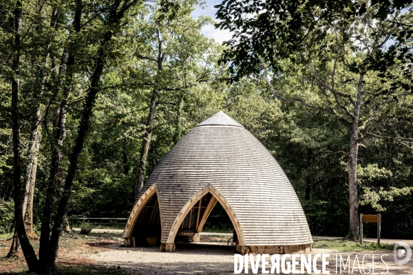 Rallye de la Biodiversite dans le Parc National des Forets