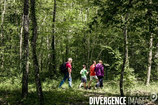 Rallye de la Biodiversite dans le Parc National des Forets