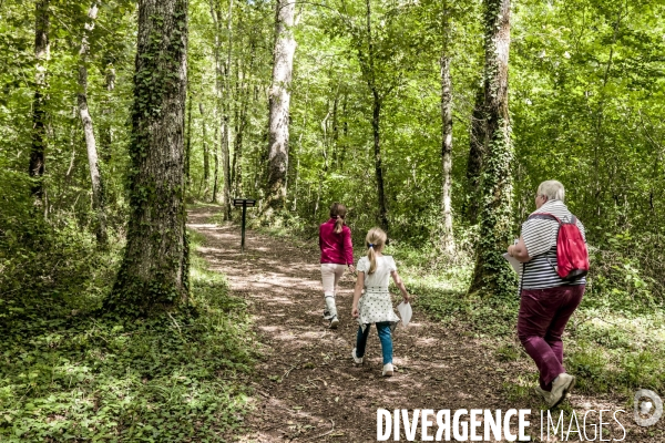 Rallye de la Biodiversite dans le Parc National des Forets