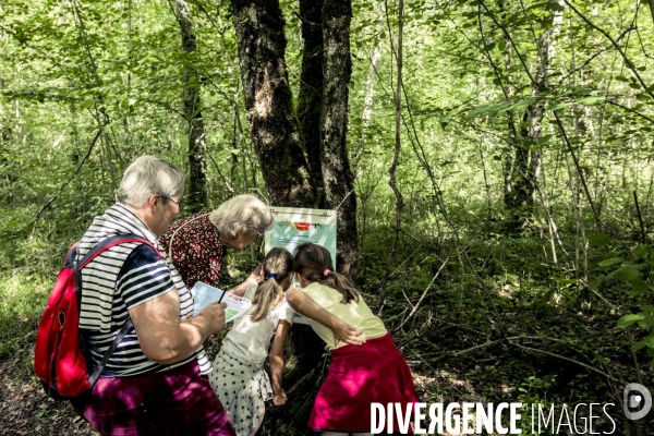 Rallye de la Biodiversite dans le Parc National des Forets