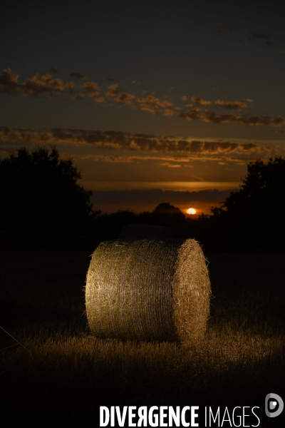 Moisson