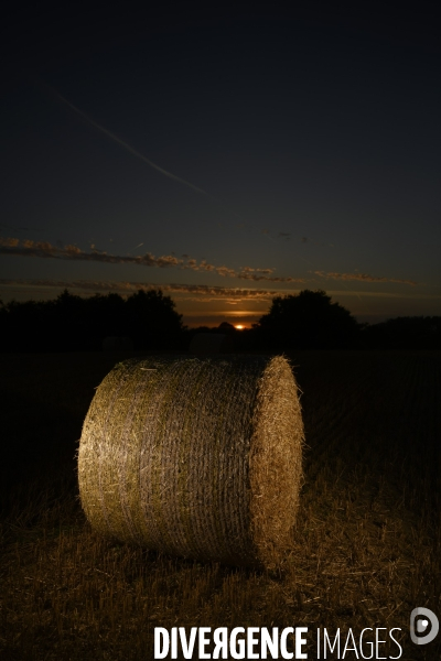 Moisson