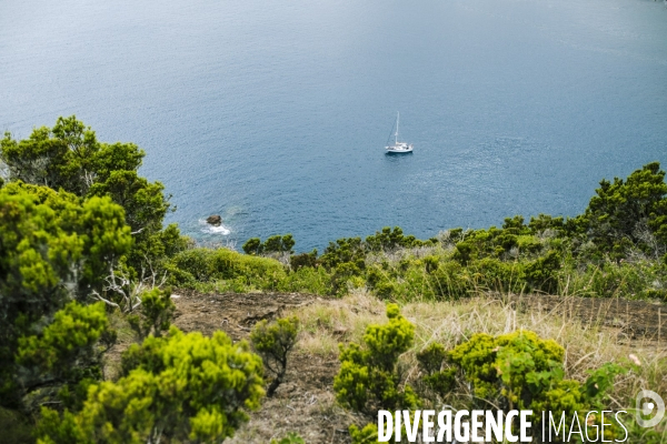 Vacances et tourisme sur l ile de Faial aux Acores