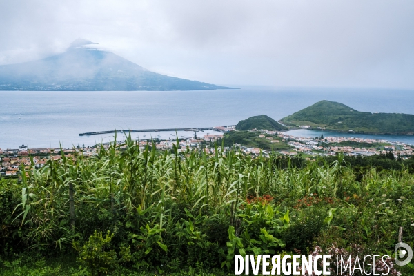 Vacances et tourisme sur l ile de Faial aux Acores