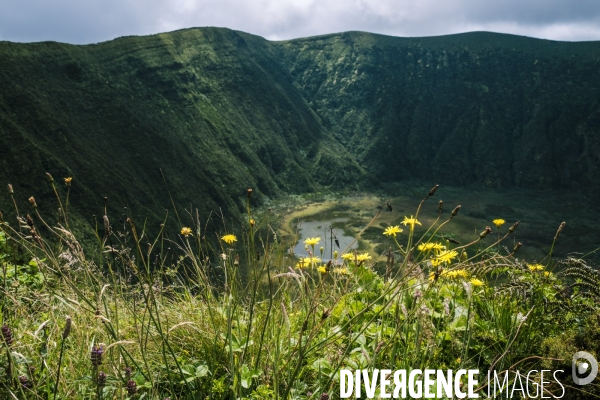 Vacances et tourisme sur l ile de Faial aux Acores
