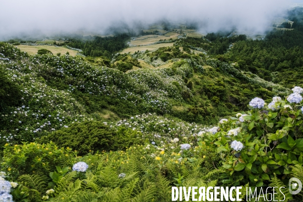 Vacances et tourisme sur l ile de Faial aux Acores