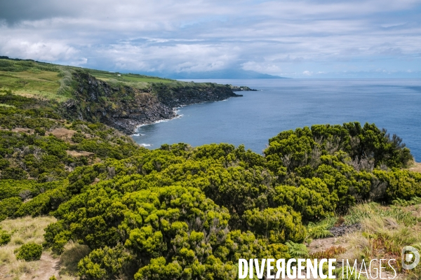 Vacances et tourisme sur l ile de Faial aux Acores