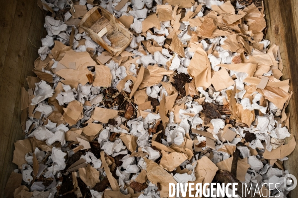 Compostage collectif