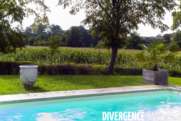 La piscine
