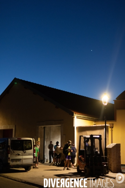 Vendanges au lever du soleil - Sunrise grape harvest