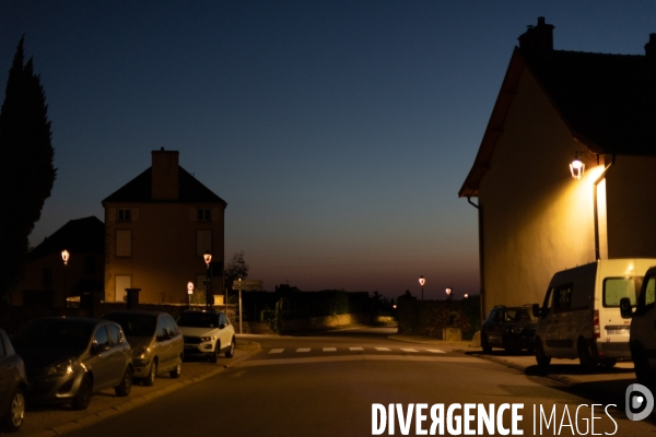 Vendanges au lever du soleil - Sunrise grape harvest