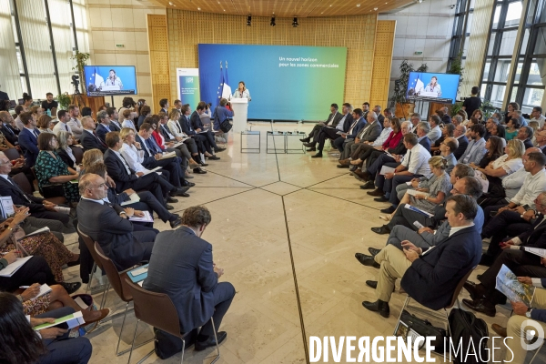 Transformation des zones commerciales