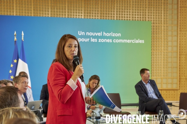 Transformation des zones commerciales