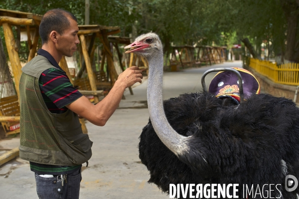 Xinjiang, le nouvel eldorado des touristes chinois.