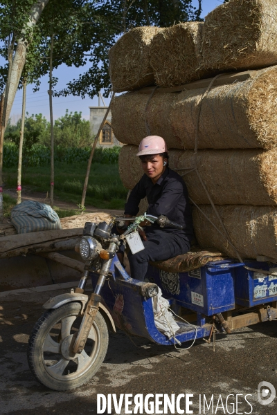 Xinjiang, le nouvel eldorado des touristes chinois.