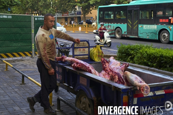 Xinjiang, le nouvel eldorado des touristes chinois.