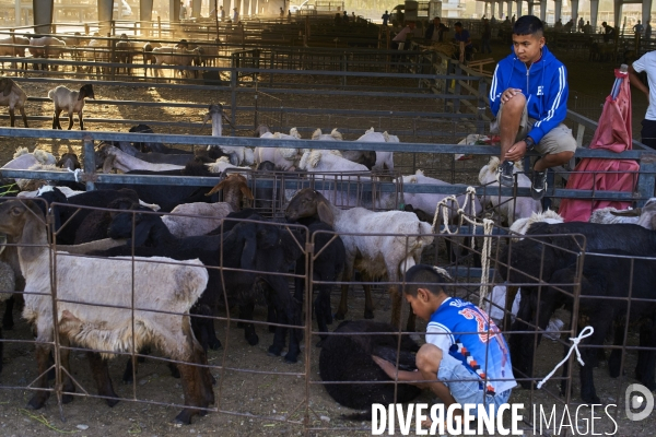 Xinjiang, le nouvel eldorado des touristes chinois.