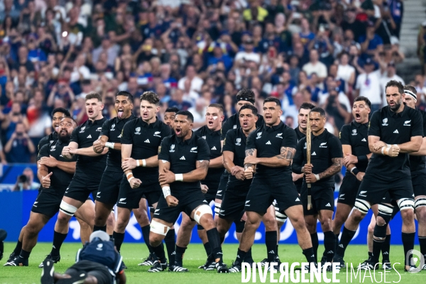 Coupe du monde de rugby france nouvelle zelande
