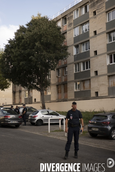 Meurtre Socayna