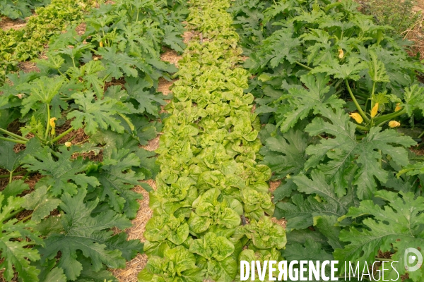 Fra - future french farmers - neofarm