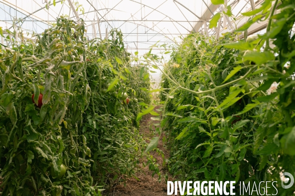 Fra - future french farmers - neofarm
