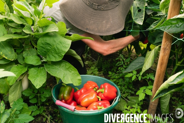 Fra - future french farmers - neofarm