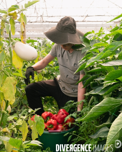 Fra - future french farmers - neofarm