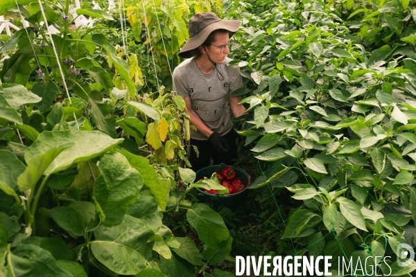 Fra - future french farmers - neofarm