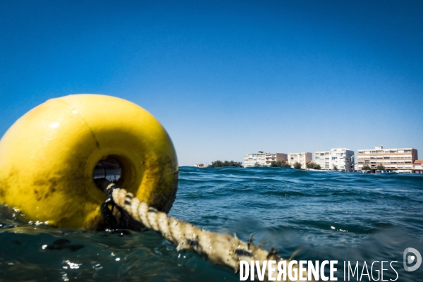 Protection contre l érosion du littoral languedocien #1