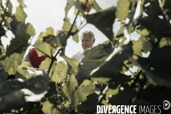 Déplacement de Fabien Roussel dans la Marne.