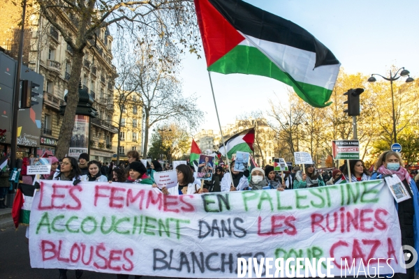 Manifestation pour les palestiniens