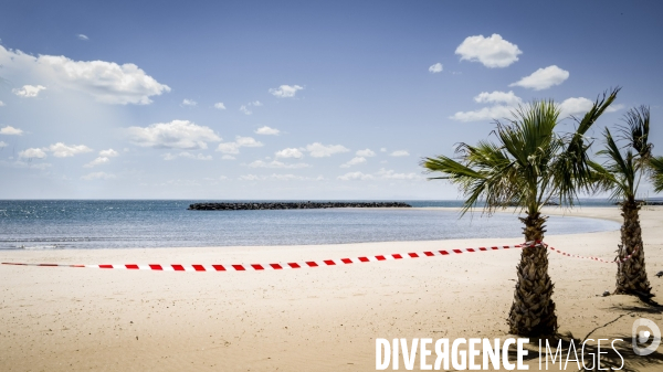 Des épis plein la côte