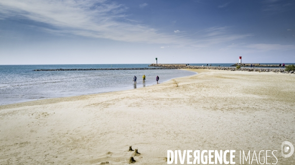 Des épis plein la côte