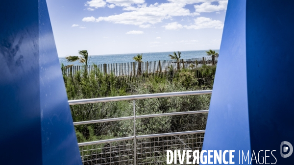 Des épis plein la côte