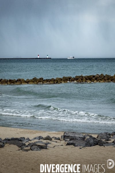 Des épis plein la côte