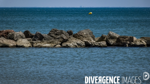 Des épis plein la côte