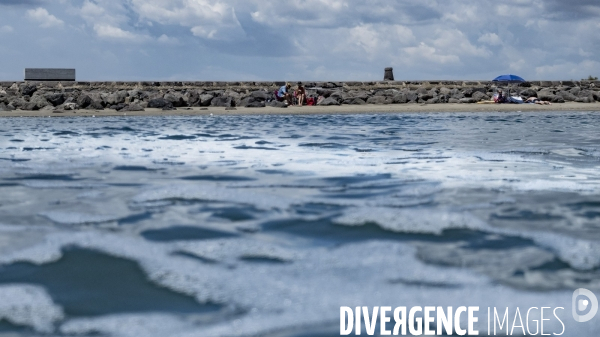 Des épis plein la côte