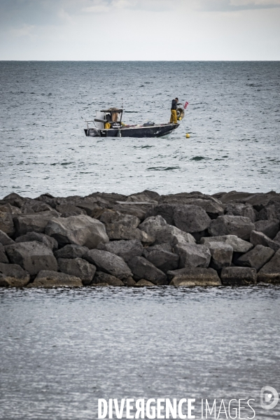 Des épis plein la côte