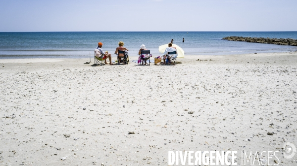 Des épis plein la côte