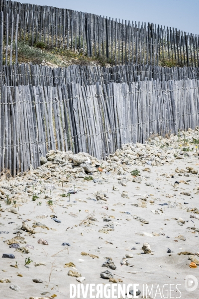 Des épis plein la côte